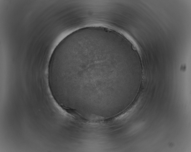 X0000094460951200711211538