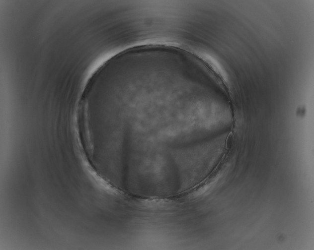 X0000094460952200711211538