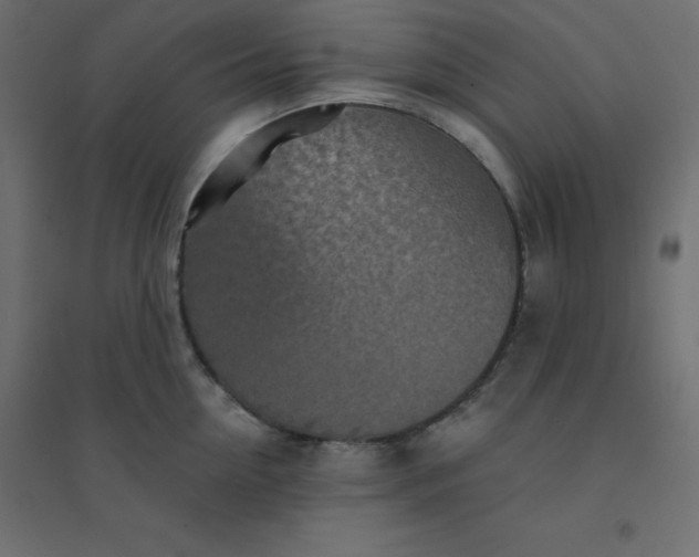 X0000094460954200711211538