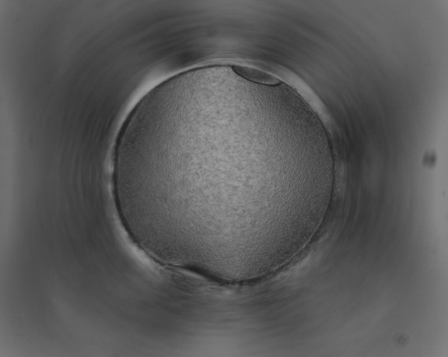 X0000094460955200711211538