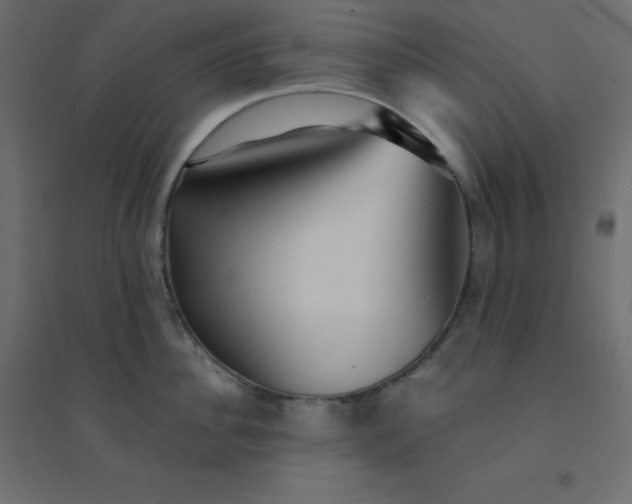 X0000094460956200711211538