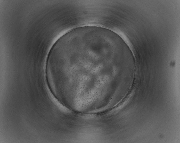 X0000094460957200711211538