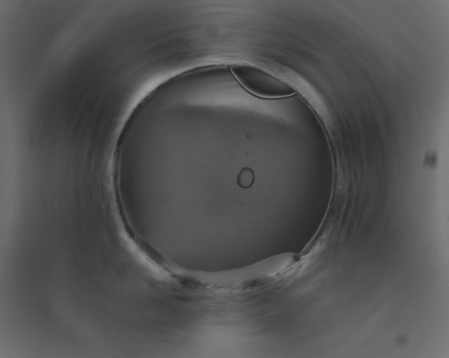 X0000094460958200711211538