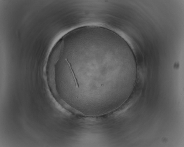 X0000094460959200711211538