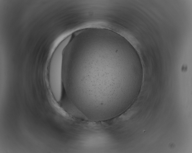 X0000094460960200711211538