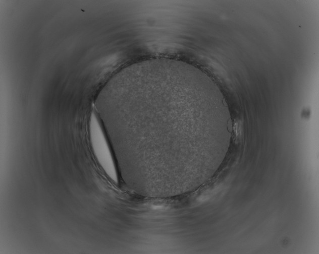 X0000094460963200711211537