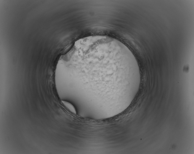 X0000094460964200711211537
