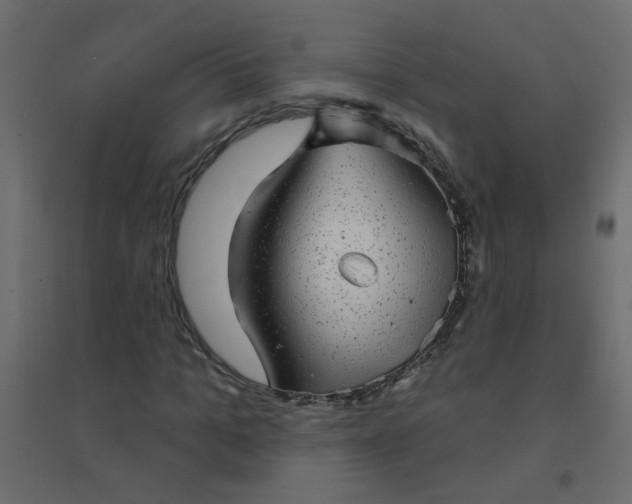 X0000094460965200711211537