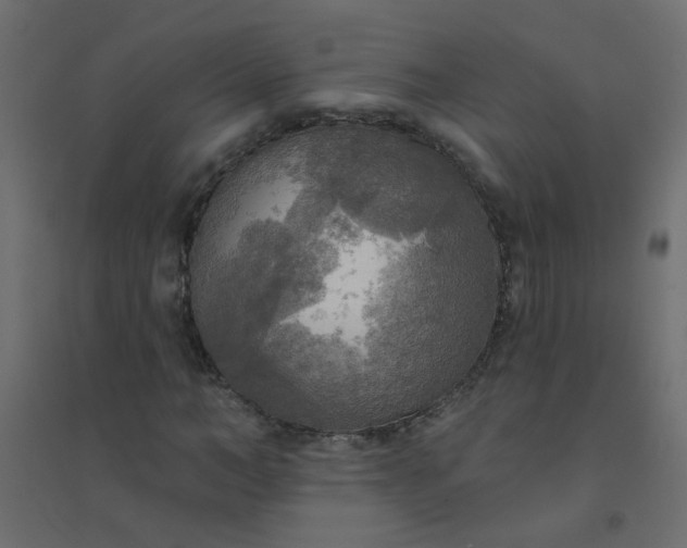 X0000094460966200711211537