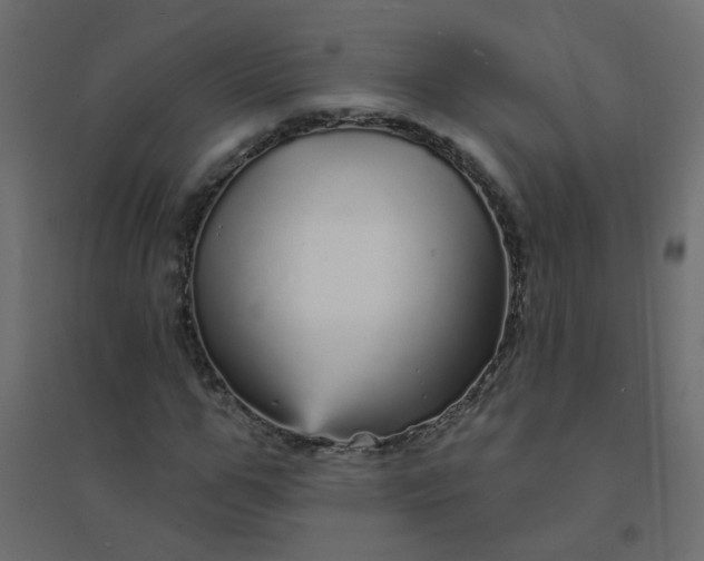 X0000094460967200711211537