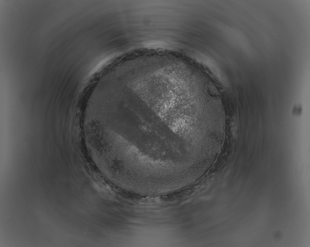X0000094460968200711211537