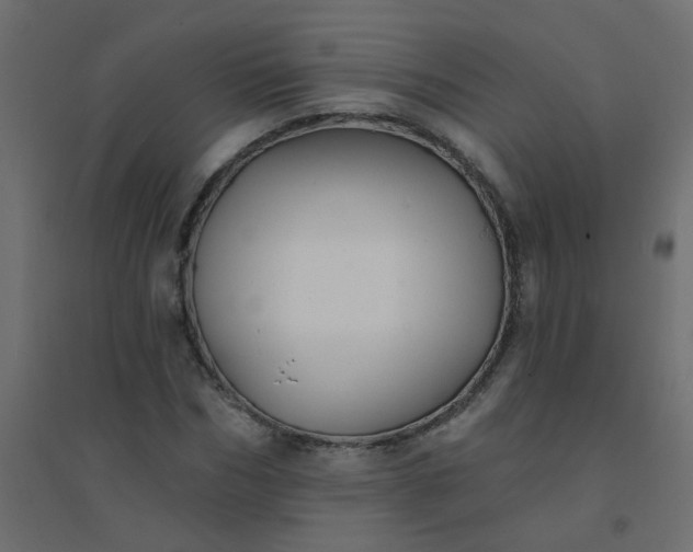 X0000094460970200711211537