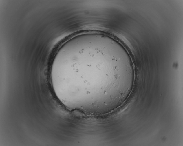 X0000094460971200711211537