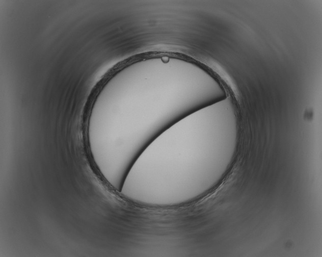 X0000094460972200711211537
