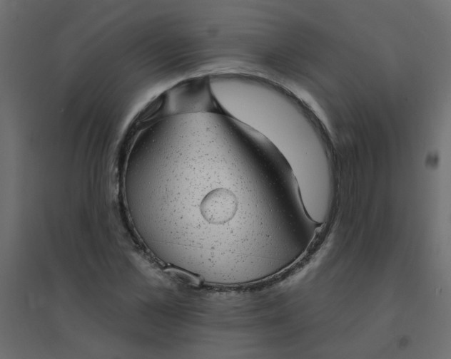 X0000094460973200711211537