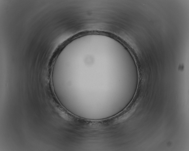 X0000094460974200711211537