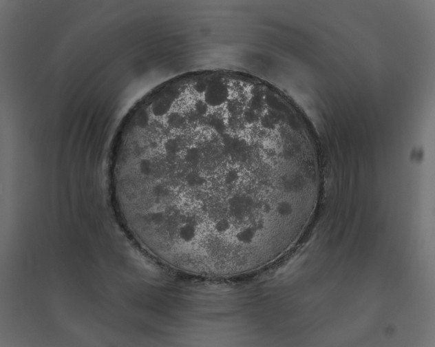 X0000094460975200711211537