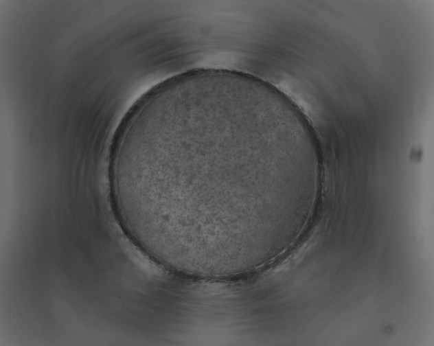 X0000094460976200711211537