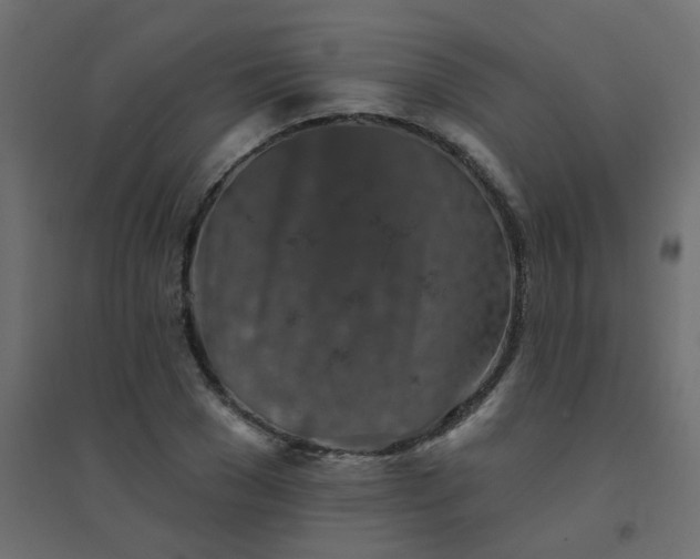 X0000094460977200711211537