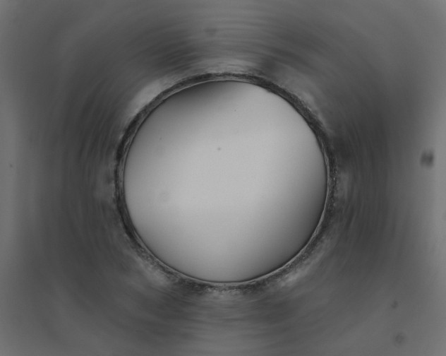 X0000094460978200711211537