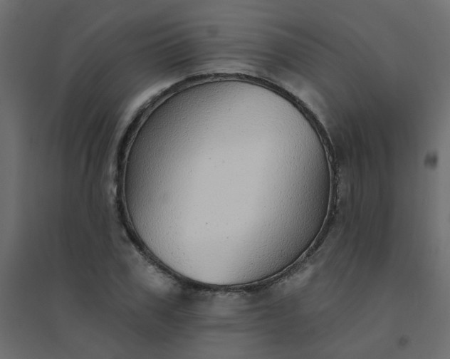 X0000094460979200711211537