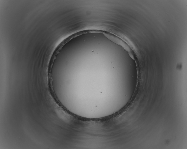 X0000094460980200711211537