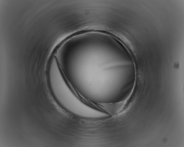 X0000094460981200711211537