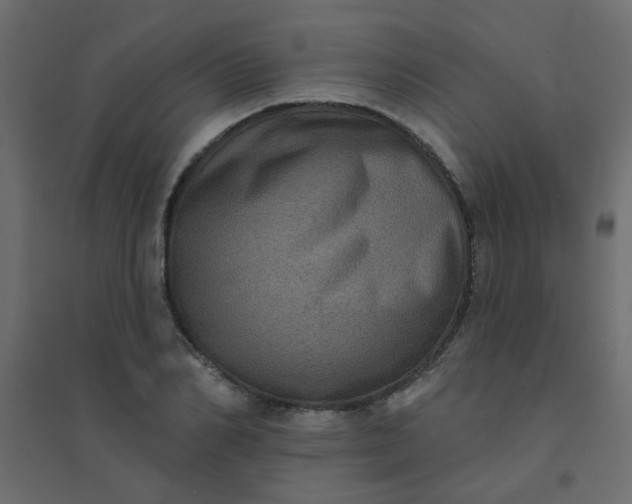 X0000094460982200711211537