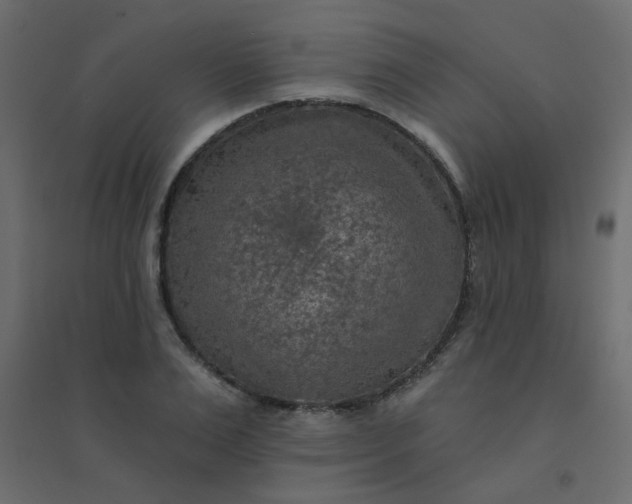 X0000094460983200711211537