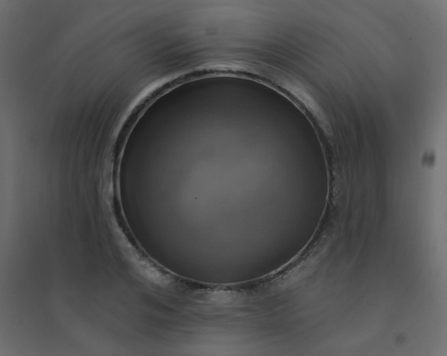 X0000094460984200711211537