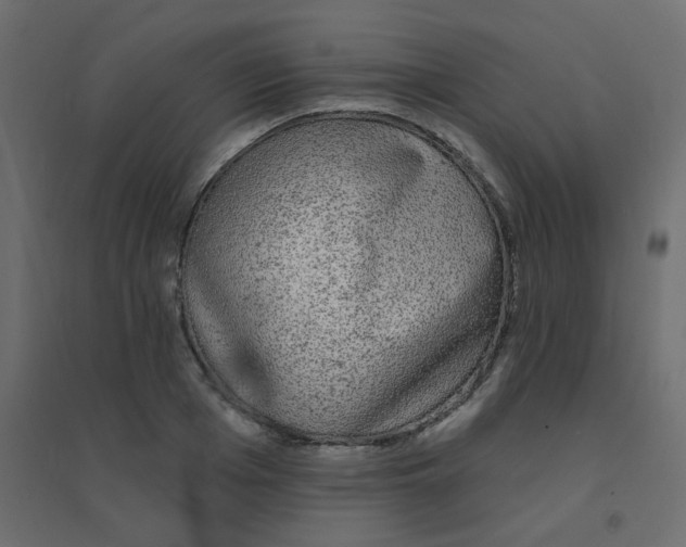X0000094460985200711211537