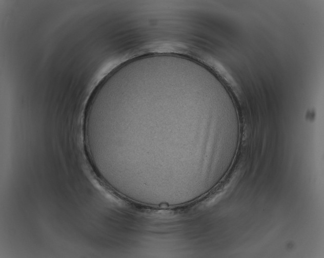 X0000094460986200711211537
