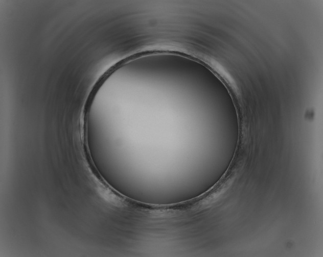 X0000094460988200711211537