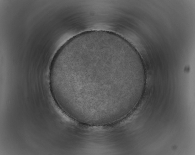 X0000094460990200711211537
