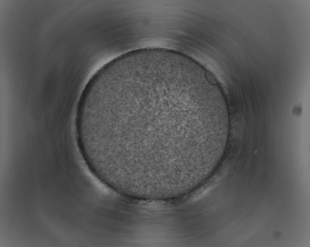 X0000094460991200711211537