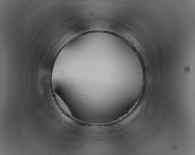 X0000094460993200711211536
