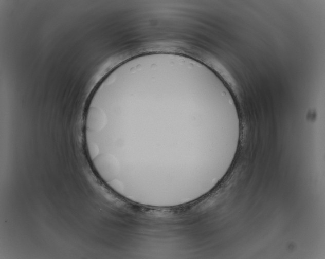 X0000094460994200711211536