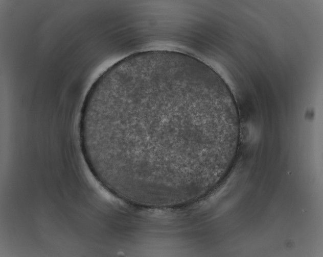 X0000094460995200711211536