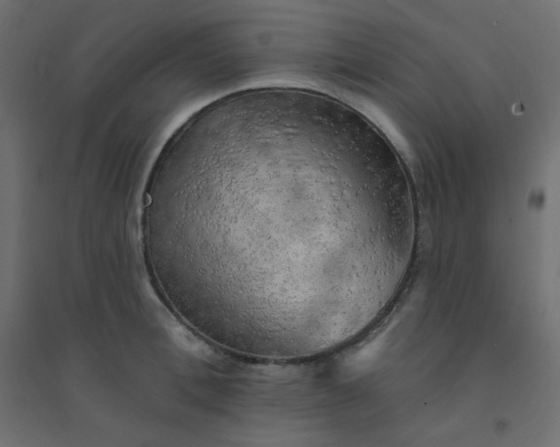 X0000094460996200711211536