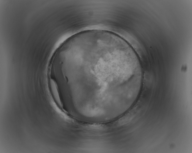 X0000094460998200711211536