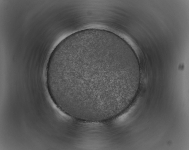 X0000094460999200711211536
