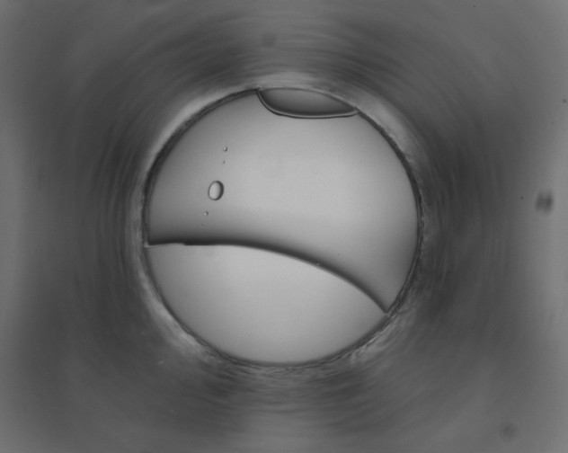 X0000094461000200711211536
