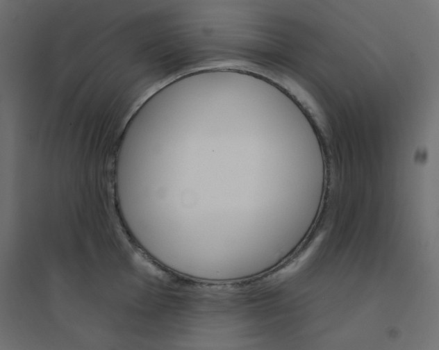 X0000094461001200711211536