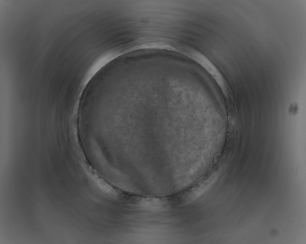 X0000094461002200711211536