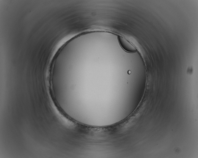 X0000094461003200711211536
