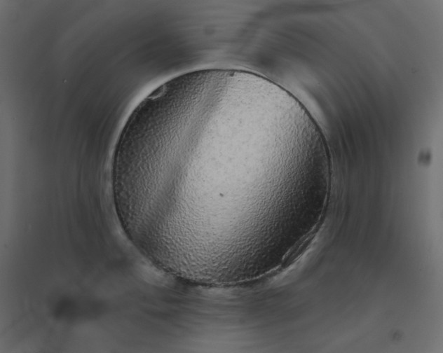 X0000094461004200711211536
