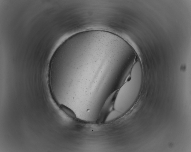 X0000094461005200711211536