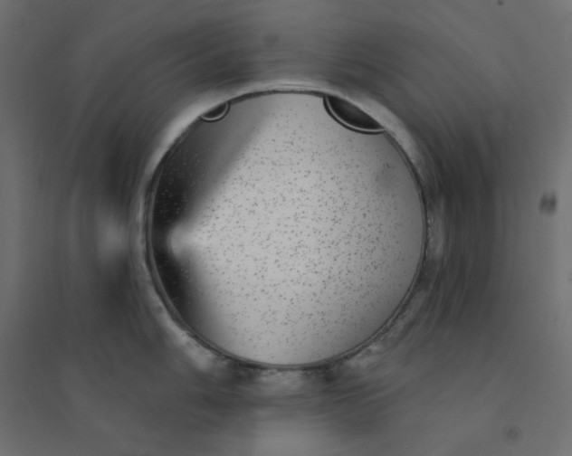 X0000094461006200711211536