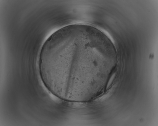 X0000094461007200711211536