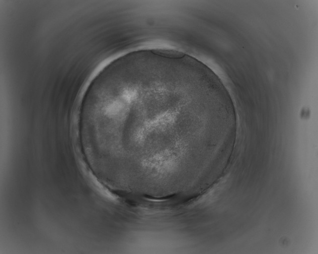 X0000094461008200711211536